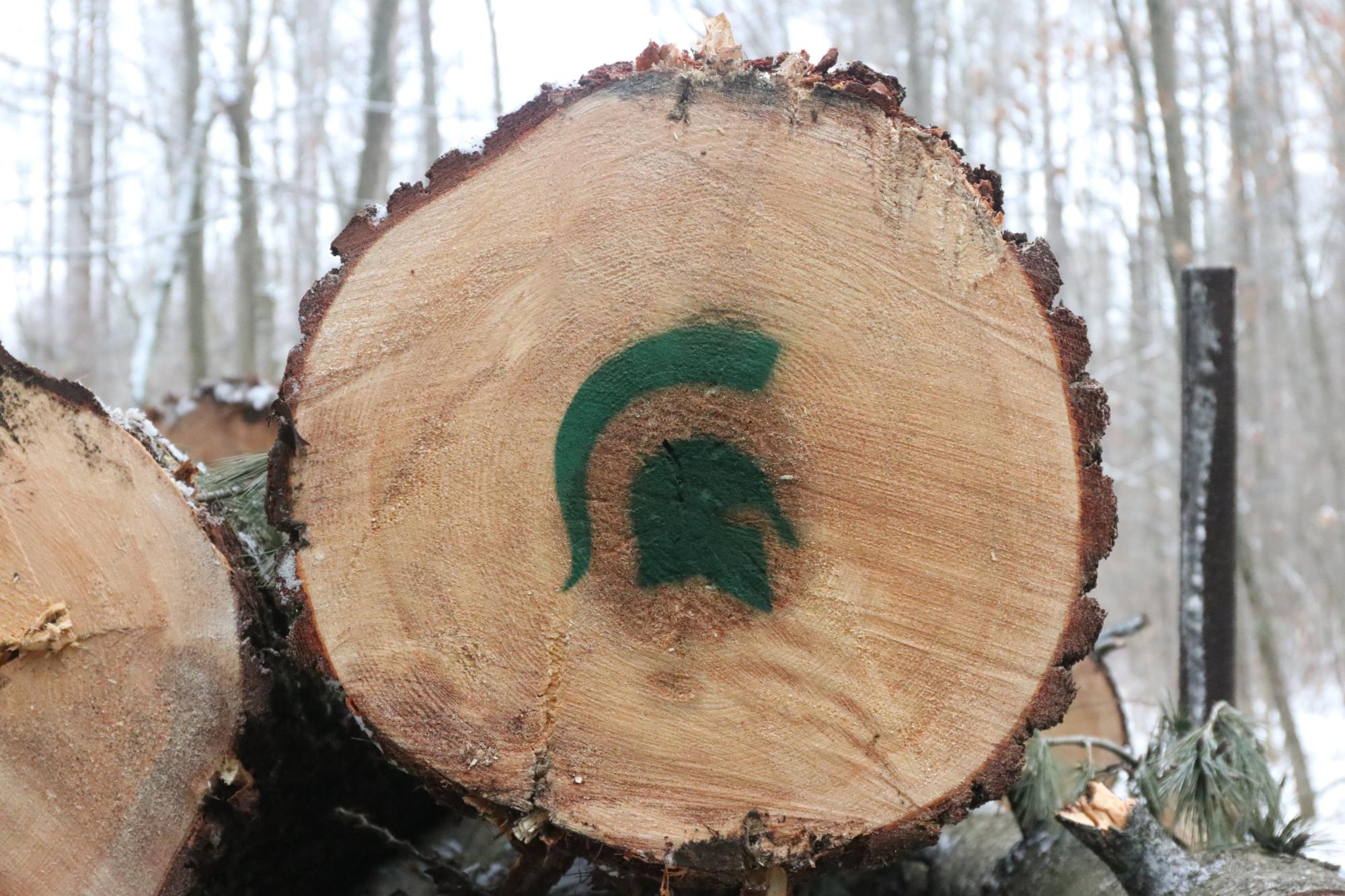 Tree spartan helmet logo.JPG